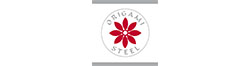 Origami Steel